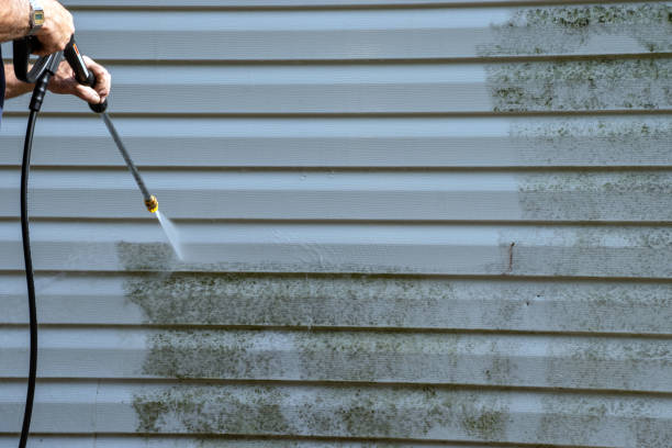 Best Property Management Cleanouts  in Eming Island, FL